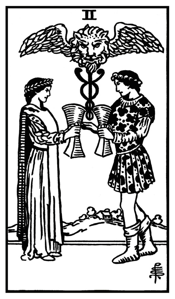 OG PAM Black & White Rider Waite Smith Printable Tarot Deck - Leopard Print Back - Instant Download - Image 5